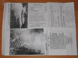 Heimatleid : Shock Millenium